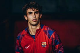 排球——女排超级联赛：辽宁东港草莓队获得季军